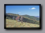 Click to enlarge 2005-08_dsurv_toiyabe_130_bb.jpg