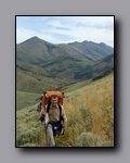 Click to enlarge 2005-08_dsurv_toiyabe_145.jpg