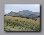 Click to enlarge 2005-08_dsurv_toiyabe_147.jpg