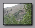 Click to enlarge 2005-08_dsurv_toiyabe_161.jpg