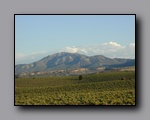 Click to enlarge 2005-08_dsurv_toiyabe_201.jpg