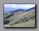 Click to enlarge 2005-08_dsurv_toiyabe_093.jpg