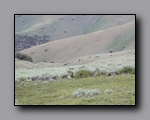 Click to enlarge 2005-08_dsurv_toiyabe_108.jpg
