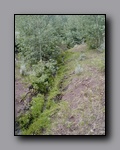 Click to enlarge 2005-08_dsurv_toiyabe_140.jpg