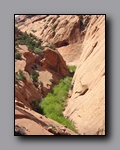 Click to enlarge 2008-05_capitolreef_ut_0510.jpg