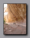 Click to enlarge 2008-05_capitolreef_ut_0534.jpg