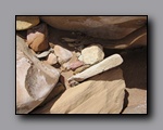 Click to enlarge 2008-05_capitolreef_ut_0535.jpg