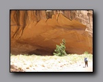 Click to enlarge 2008-05_capitolreef_ut_0536.jpg