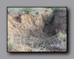 Click to enlarge 2008-05_capitolreef_ut_0547.jpg