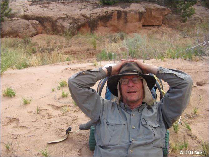 2008-05_capitolreef_ut_0596.jpg