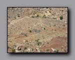 Click to enlarge 2009-05-ut-s-rafael-swell-nj-502.jpg