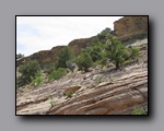 Click to enlarge 2009-05-ut-s-rafael-swell-nj-419.jpg